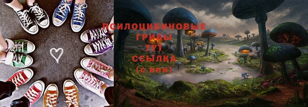 СК Костерёво