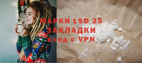 прущие грибы Магадан