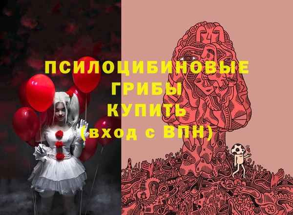 mdma Краснослободск